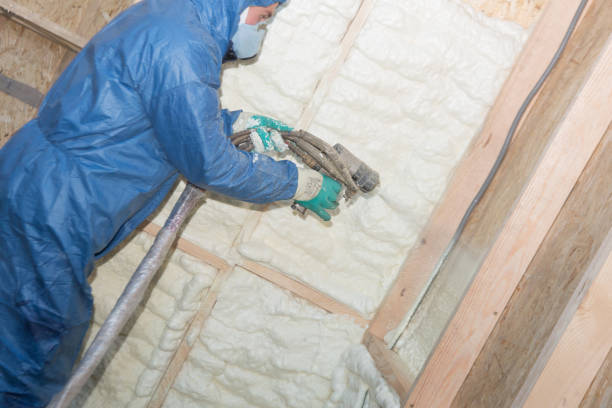 Best Eco-Friendly or Green Insulation Solutions  in Waldwick, NJ